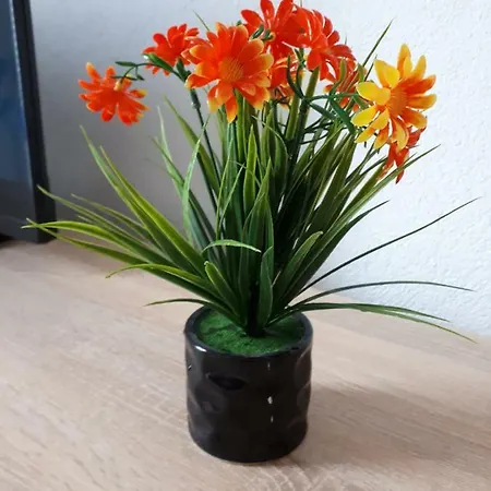 Apartman Jednosobni Apartman Anicic Coric Omišalj