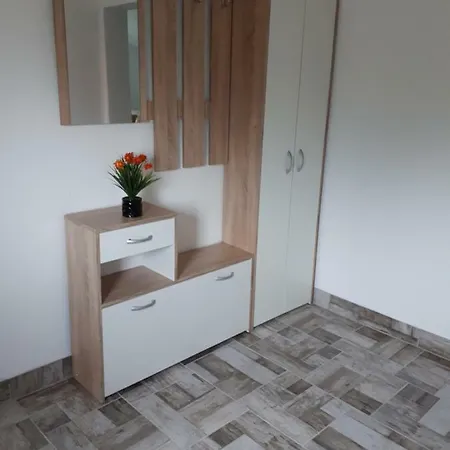 Apartment Jednosobni Anicic Coric *